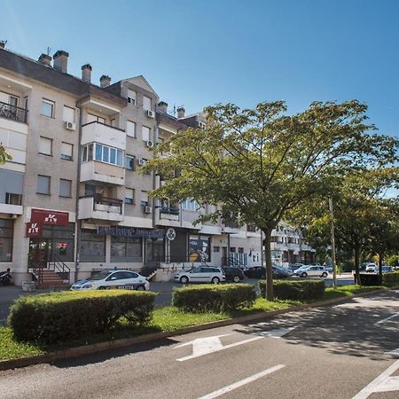 Apartman Vukcevic 波德戈里察 外观 照片